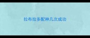 拉布拉多配种几次成功