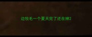 边牧毛一个夏天完了还在掉