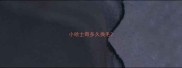 小哈士奇多久换毛