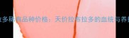 拉布拉多稀有品种价格天价拉布拉多的血统与养护要点