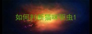 如何判断猫咪驱虫