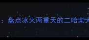 柴犬哈士奇混血犬盘点冰火两重天的二哈柴犬优缺点及饲养指南