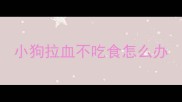 小狗拉血不吃食怎么办