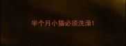 半个月小猫必须洗澡