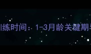 猎犬上山最佳训练时间1-3月龄关键期与科学培育指南
