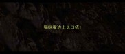 猫咪嘴边上长口疮
