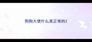 狗狗大便什么是正常的