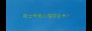 哈士奇最大能有多长