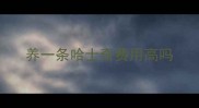 养一条哈士奇费用高吗
