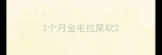 2个月金毛拉屎软