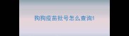 狗狗疫苗批号怎么查询