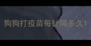 狗狗打疫苗每针隔多久