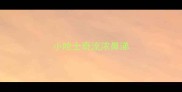 小哈士奇流浓鼻涕
