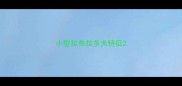 小型拉布拉多犬特征