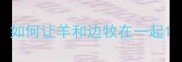 如何让羊和边牧在一起