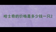 哈士奇的价格是多少钱一只