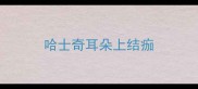 哈士奇耳朵上结痂