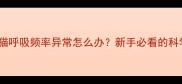 五个月大幼猫呼吸频率异常怎么办新手必看的科学养护指南