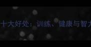 边牧玩飞盘的十大好处训练健康与智力开发全指南