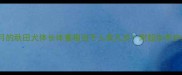 三个月的秋田犬体长体重相当于人类几岁附超全养护指南