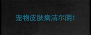 宠物皮肤病洁尔阴