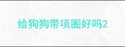 给狗狗带项圈好吗