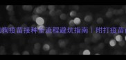 新手必看狗狗疫苗接种全流程避坑指南附打疫苗前必做清单