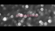 拉布拉多昆明犬舍
