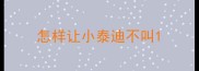 怎样让小泰迪不叫
