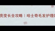 边牧毛色变亮变长全攻略哈士奇毛发护理的黄金法则