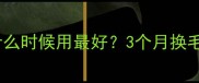 泰迪犬美毛粉什么时候用最好3个月换毛期必看全攻略