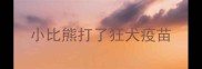 小比熊打了狂犬疫苗