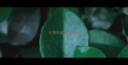 小狗生病可以驱虫