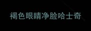 褐色眼睛净脸哈士奇