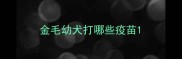 金毛幼犬打哪些疫苗