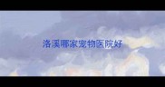 洛溪哪家宠物医院好