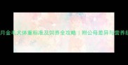 五个月金毛犬体重标准及饲养全攻略附公母差异与营养搭配