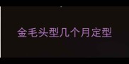 金毛头型几个月定型