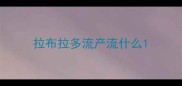 拉布拉多流产流什么