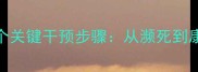 拉布拉多细小症状5个关键干预步骤从濒死到康复的完整护理指南
