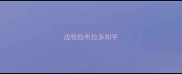 边牧拉布拉多知乎