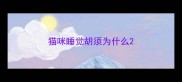 猫咪睡觉胡须为什么