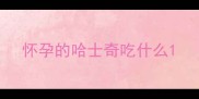 怀孕的哈士奇吃什么
