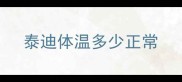 泰迪体温多少正常