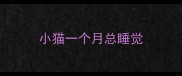 小猫一个月总睡觉