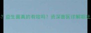 狗狗频繁呕吐怎么办益生菌真的有效吗资深兽医详解呕吐原因及科学应对方案