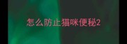 怎么防止猫咪便秘