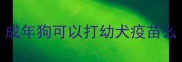 成年狗可以打幼犬疫苗么