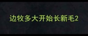 边牧多大开始长新毛