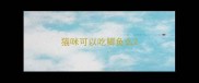猫咪可以吃鲫鱼么
